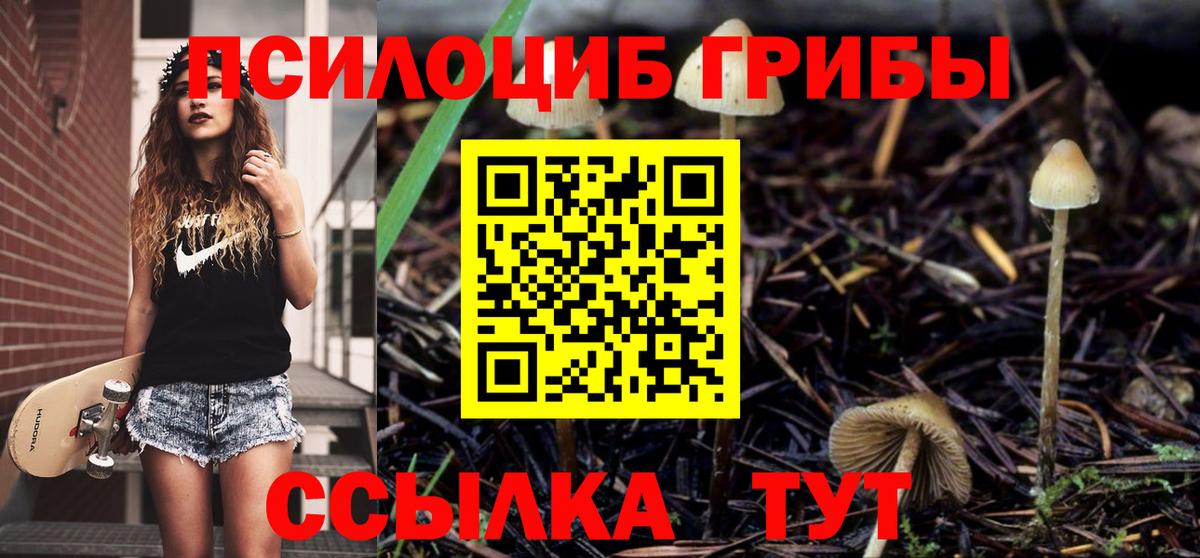 закладки  Вход с VPN  Усть-Джегута  Галлюциногенные грибы Psilocybine cubensis 